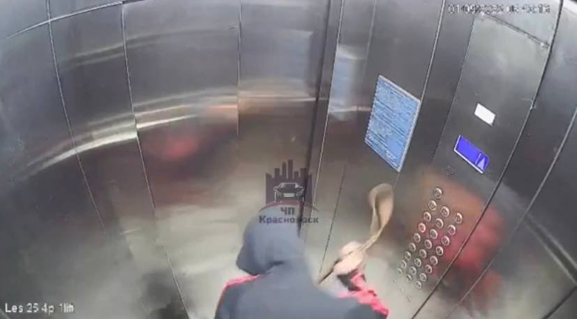 Избивший щенка в лифте красноярец попался на наркозакладках
