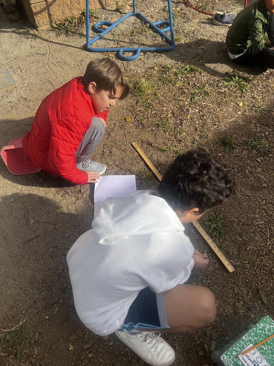 mishoates's tweet photo. It’s time for real world math @TimberDriveES ! We were asked to find the area of a section of our EC playground so we can replace the mulch area. https://t.co/UdComcIyvJ