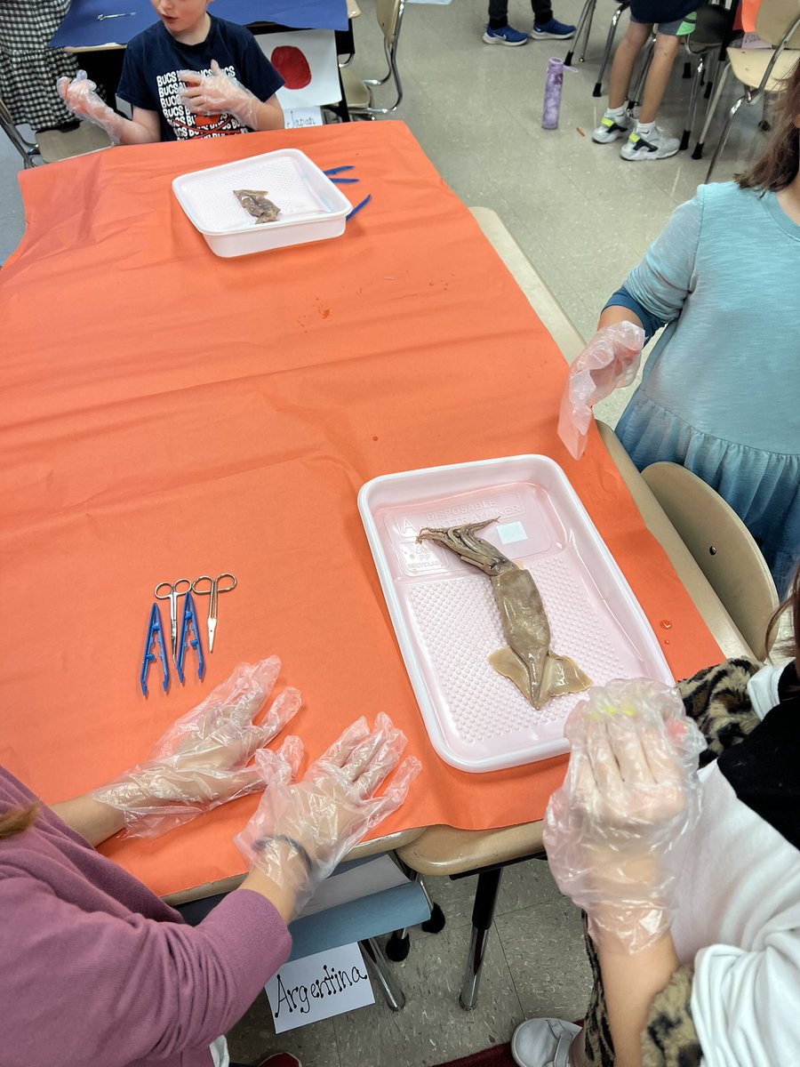 Beech Elementary School tweet media