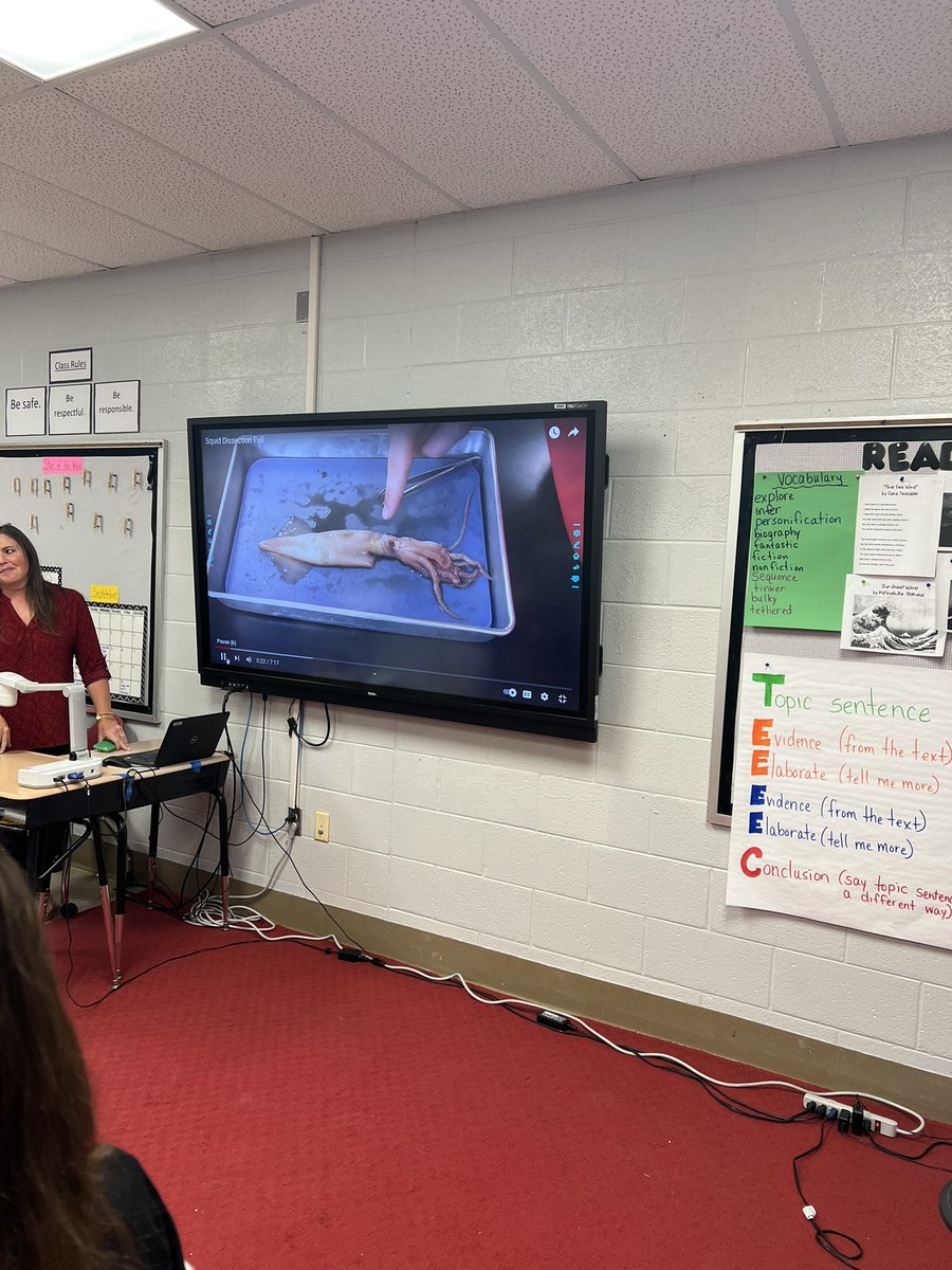 Beech Elementary School tweet media