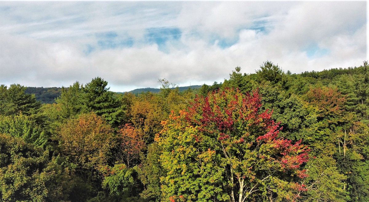 While still broadly in the early stages, we’re moving fast toward spectacular full color in the earliest-changing zones of northeast VT and higher elevations. Read this week’s foliage report at vermontvacation.com/fall-foliage-r….
#FindYourPeakVT #WorldsBestFoliage
Photo Robert Kolodziej