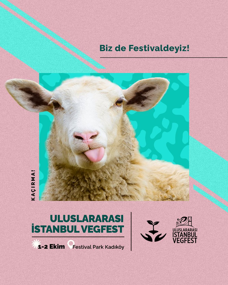 1-2 Ekim'de Festival Park Kadıköy'de gerçekleştirilecek olan Uluslararası İstanbul Vegan Festivalinin her iki gününde de standımızda olacağız. Tanışmaya, sohbete bekleriz! #vegfestist