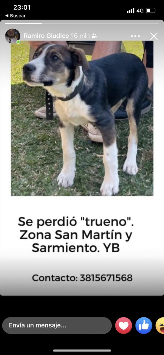 nicoproto's tweet photo. POR FAVOR DIFUNDIR !! OFREZCO RECOMPENSA! MUCHAS GRACIAS https://t.co/DLRHB7AHeJ