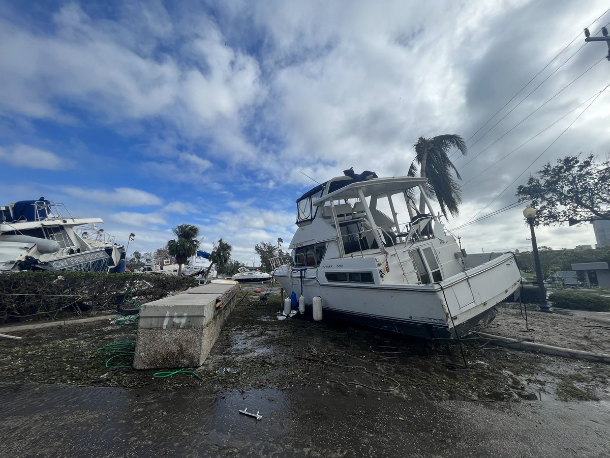 Max Chesnes tweet media