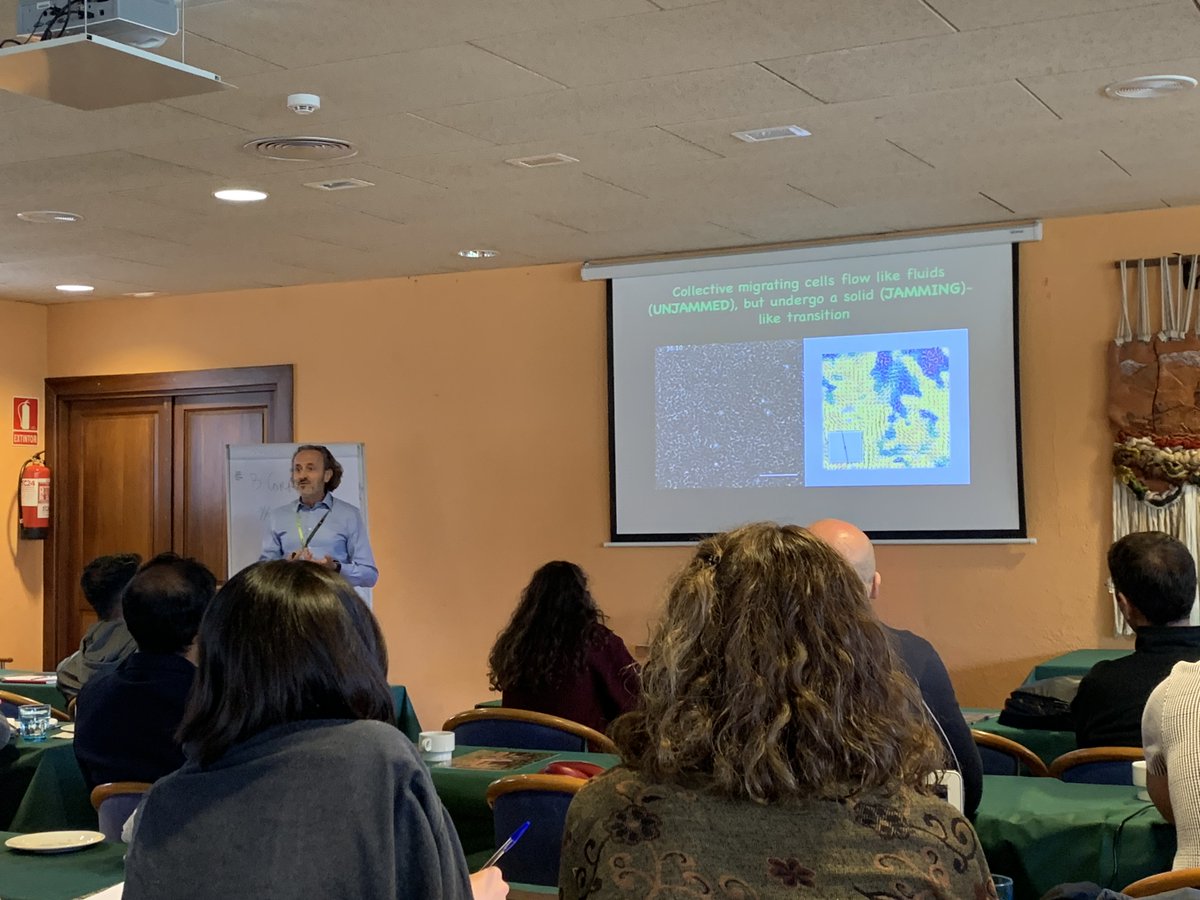 XavierTrepat's tweet photo. Giorgio @scita_lab at #MCSummerSchool22: Contact percolation sets phase transition and genetic rewiring in heterogeneous breast cancers ๐คฏ @Mechanocontrol https://t.co/tfh3lFNl5D