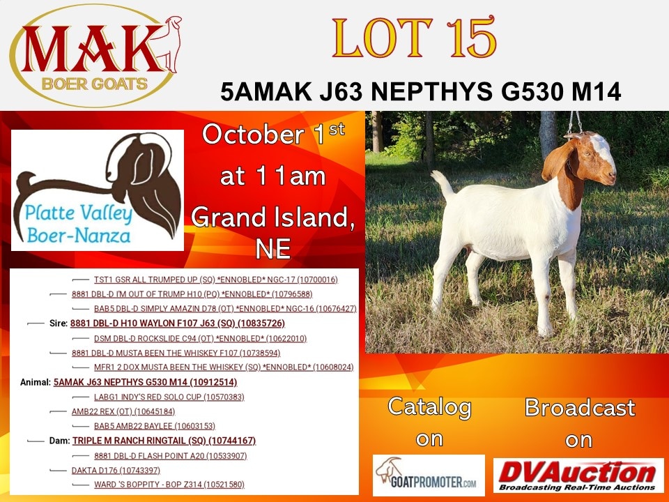 5alarmfarm's tweet photo. #goats #goatsforsale @goatpromoter @DVAuction https://t.co/eQA4HWVc4v