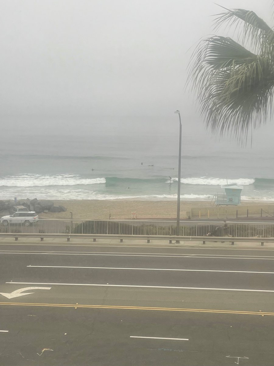 ColtonSeal's tweet image. Waves are firing this morning and I am watching doing product market analysis… #founderproblems 😂