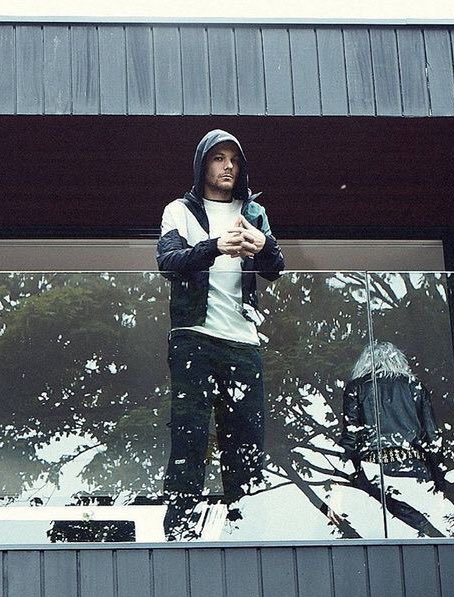 hourly prince louis (@hourlyprincelou) on Twitter photo 