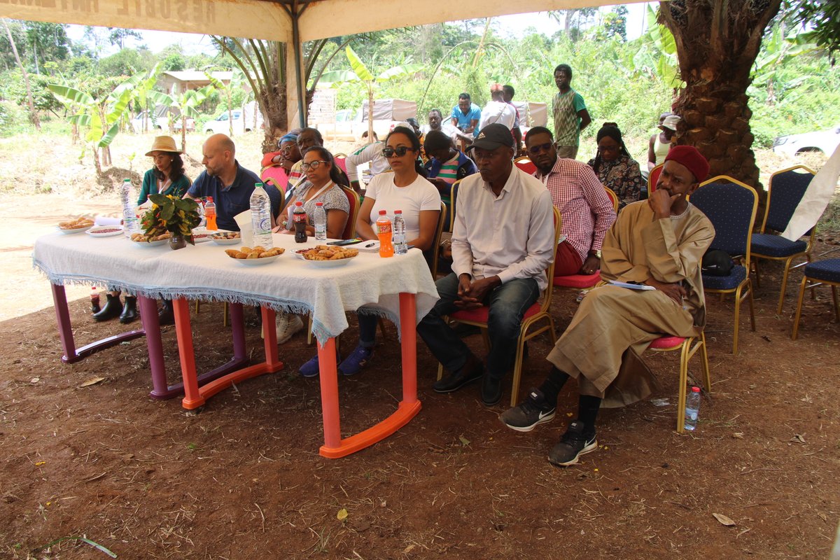 AFD_France's tweet photo. #FARMInitiative

Nos équipes se mobilisent en faveur de la #SécuritéAlimentaire :
✔️travail à Yaoundé sur les dispositifs de Conseil agricole avec des acteurs du #Sénégal (CGER et @SaedSenegal), de #Madagascar (PAPAM et FDA), et du #Cameroun (PCP-ACEFA). https://t.co/SZIyhTEJ99