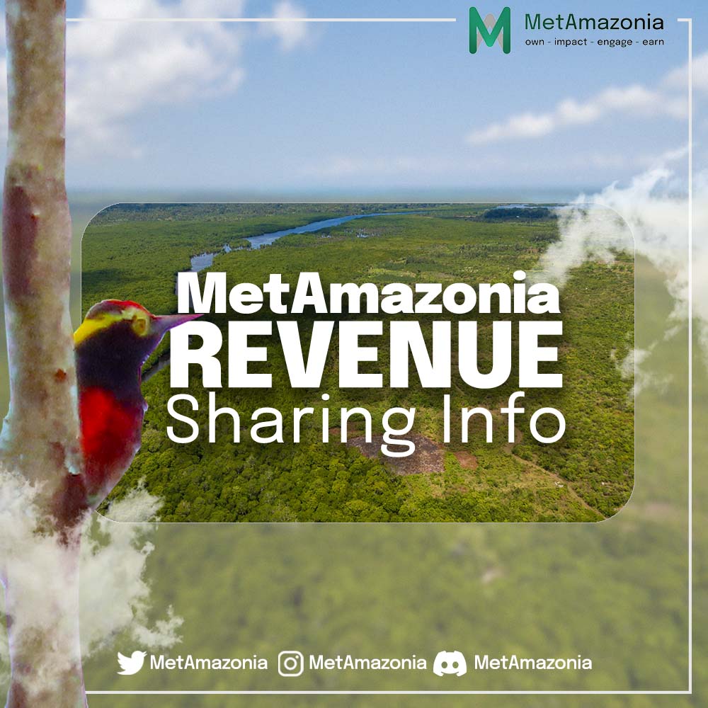 metamazonia's tweet photo. In #MetAmazonia, #NFTs yield research data will grant revenue sharing📈✨

This activity will give the project's users the ability to vote on future developments, build experiences, and contribute to the protection of our planet🌏🌴

Learn how it works 👉 https://t.co/qOP7XeGV84 https://t.co/WeJFVZzlzh