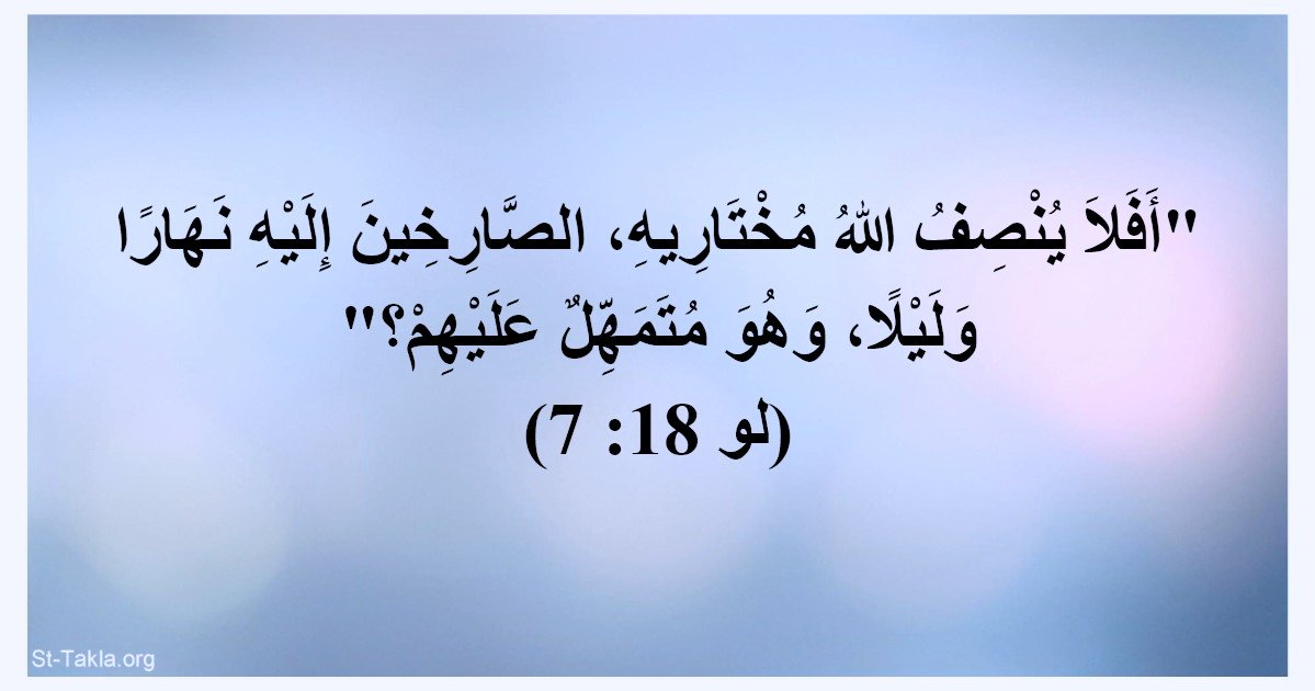 Hoda refat (@hodarefathenary) on Twitter photo 