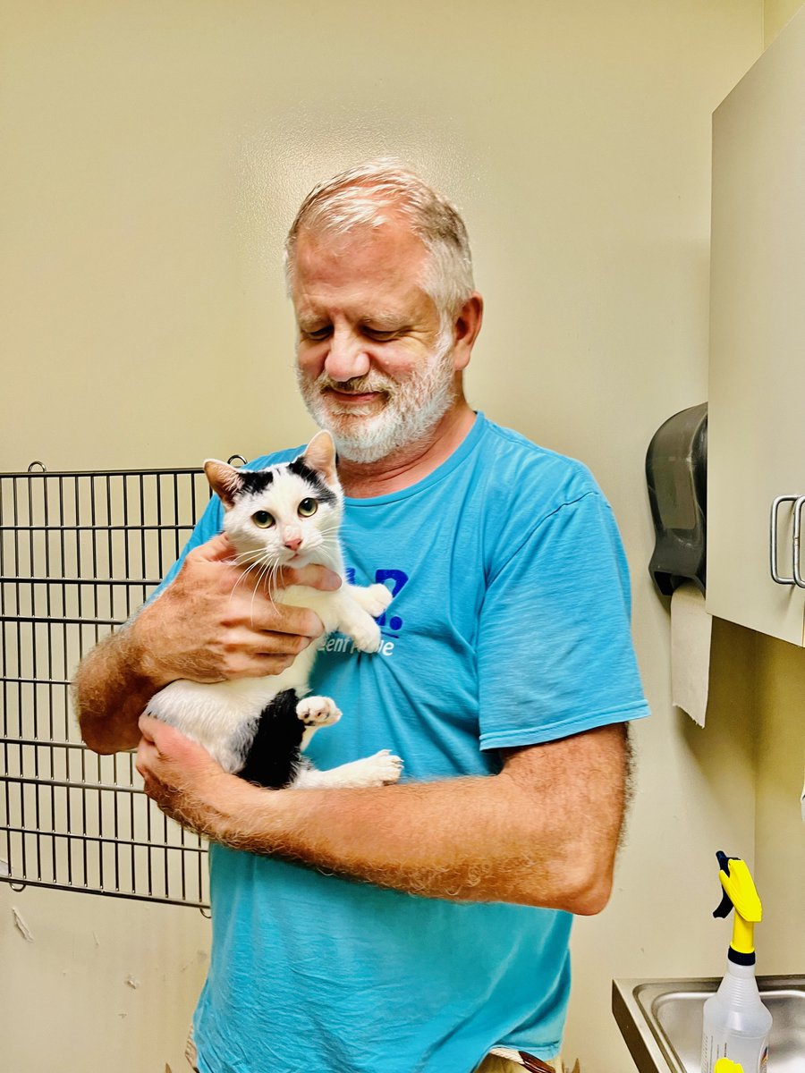 PAWSHumane1's tweet photo. We are always ready and willing to help animals in need!
Please RT or donate @ https://t.co/mnUqCYHQny
#IAmPawsHumane #PawsHumaneSociety #Paws #HurricaneIan #Florida #Georgia #HurricaneRelief https://t.co/9H755xT8tq