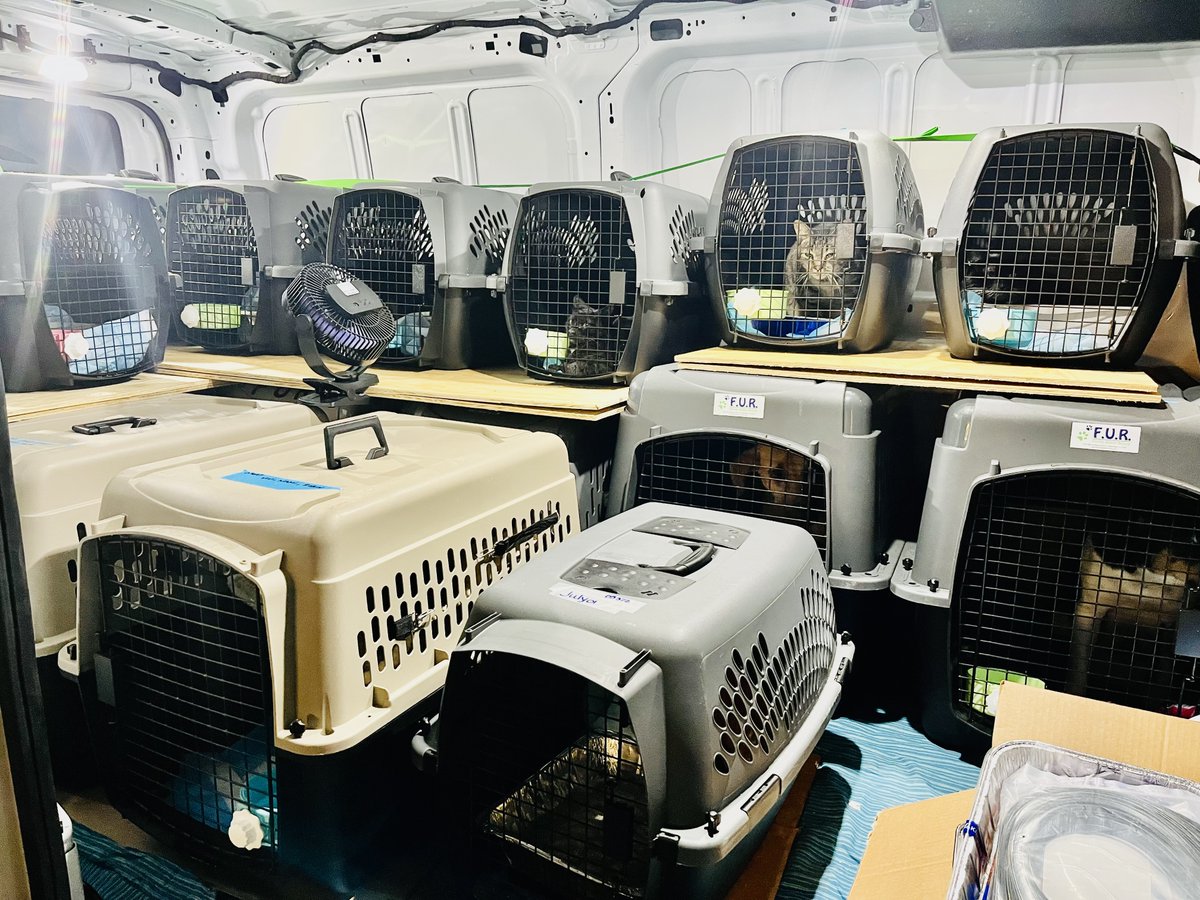 PAWSHumane1's tweet photo. We are always ready and willing to help animals in need!
Please RT or donate @ https://t.co/mnUqCYHQny
#IAmPawsHumane #PawsHumaneSociety #Paws #HurricaneIan #Florida #Georgia #HurricaneRelief https://t.co/9H755xT8tq