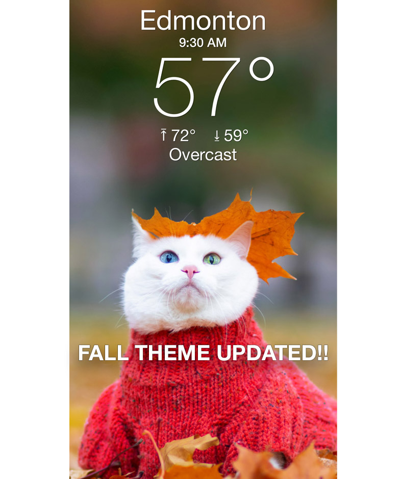 WeatherKitty's tweet image. Hottest thing other than Pumpkin Spice Lattes this Fall