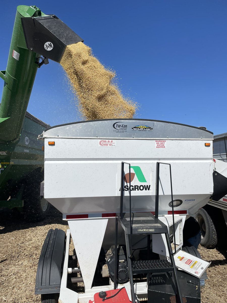bk_franzen's tweet photo. First @Asgrow_DEKALB soybean plot of the year and excited for the “NEW” XF3 class of products! @DKAS_HP #Bayer4NE https://t.co/GmVN47d00J
