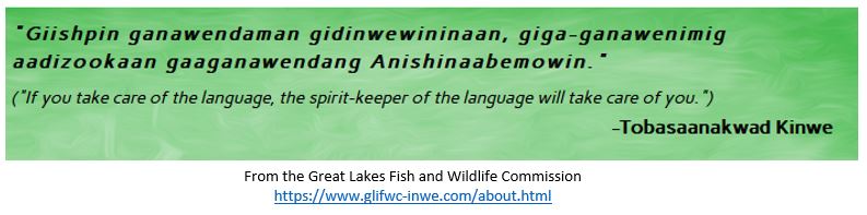 WiscWaterLib's tweet photo. We have new resources to share with you, from our wonderful @SeaGrant #CommunityEngagedIntern @Maya 

Our first Spotlight: Ojibwemowin resource is the amazing @jamesvukelich, an Ojibwe creator of the quality series of “word of the day” posts. 

Learn more: https://t.co/TiEuJWjebF https://t.co/I9Z6HzovEn