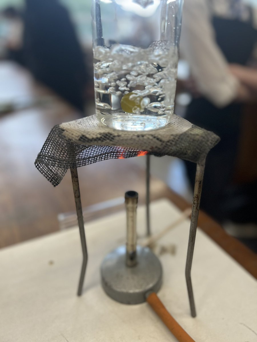 MsRobertsonBio's tweet photo. S1 showing their very good practical skills today when testing a leaf for starch! 🤩 https://t.co/jApWyBIFTz