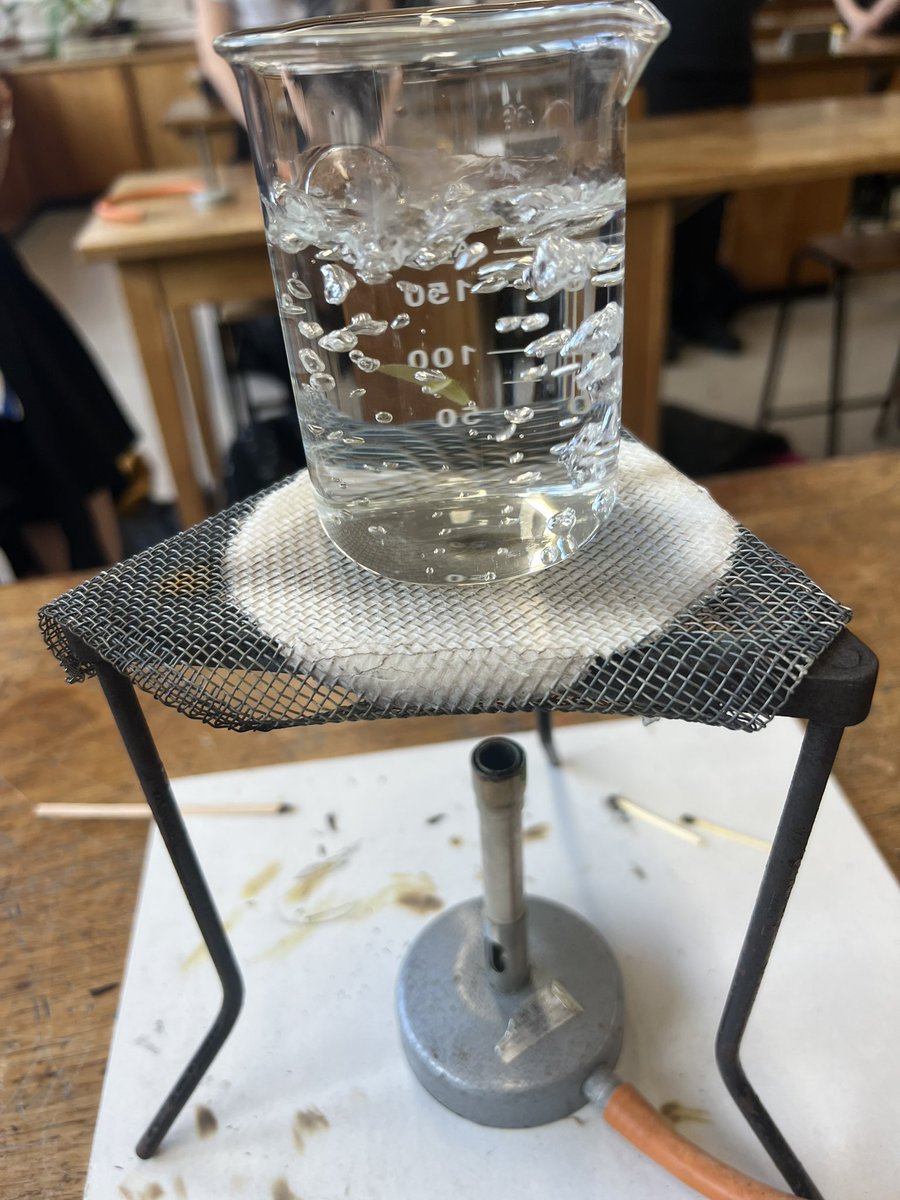MsRobertsonBio's tweet photo. S1 showing their very good practical skills today when testing a leaf for starch! 🤩 https://t.co/jApWyBIFTz