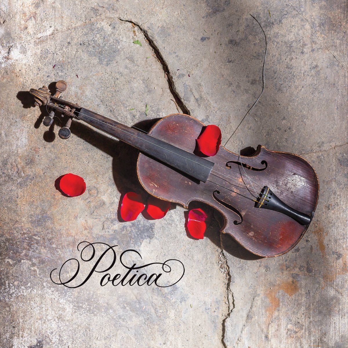 PoeticaProject's tweet photo. Our collaborative spoken word project "Poetica" has been entered into the initial round of Grammy® voting for Best Spoken Word Poetry Album. We would greatly appreciate your consideration! 🎶 https://t.co/Jaup6jmXmb #fyc #grammyvoting https://t.co/w6Cwk4MAfB