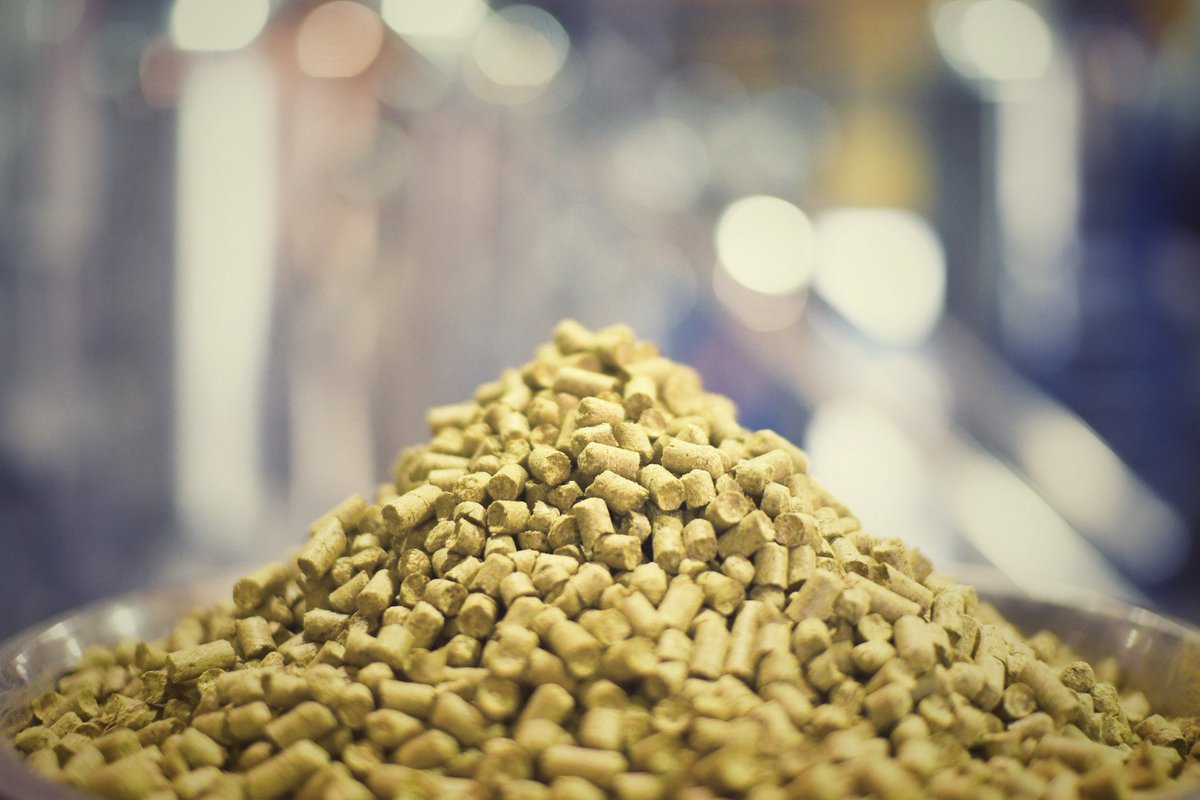 Braybrooke Beer Co tweet media