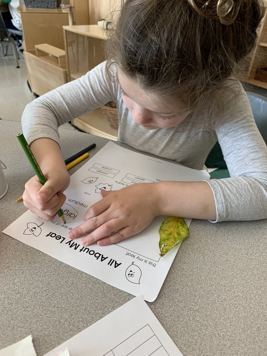 We are investigating leaves! The magnifying glasses were a hit! ☺️🐼 Great work Pandas! <a href="/MRTPandas/">St. Martin Pandas</a> <a href="/MrsPignatOCSB/">Mrs. Pignat</a> <a href="/StMartinOCSB/">St. Martin de Porres School</a>