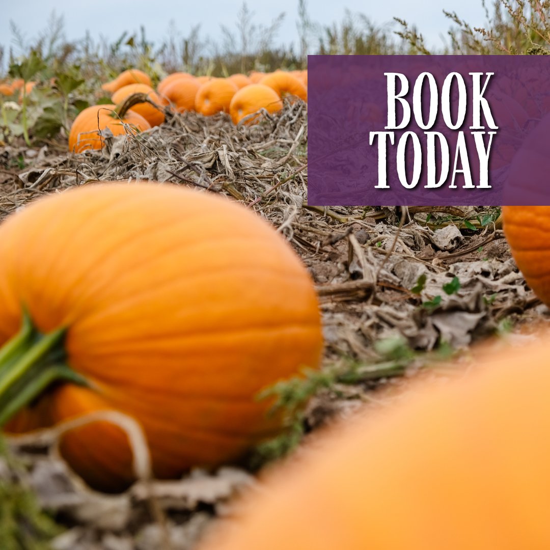 Come on out to Grotto Gardens for a ride on our Pumpkin Train! Tour the beautiful Fall scenery, stop to learn about and interact with our friendly animals, find your perfect pumpkin for carving, &amp; more.
Also perfect for field trips! Learn more and book at bit.ly/3R9FRpO