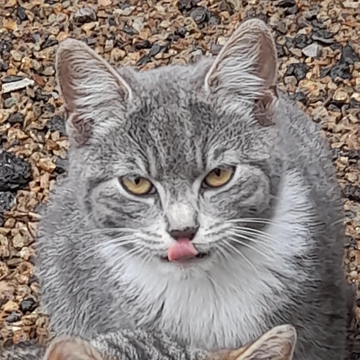 Zorka.budka tweet media