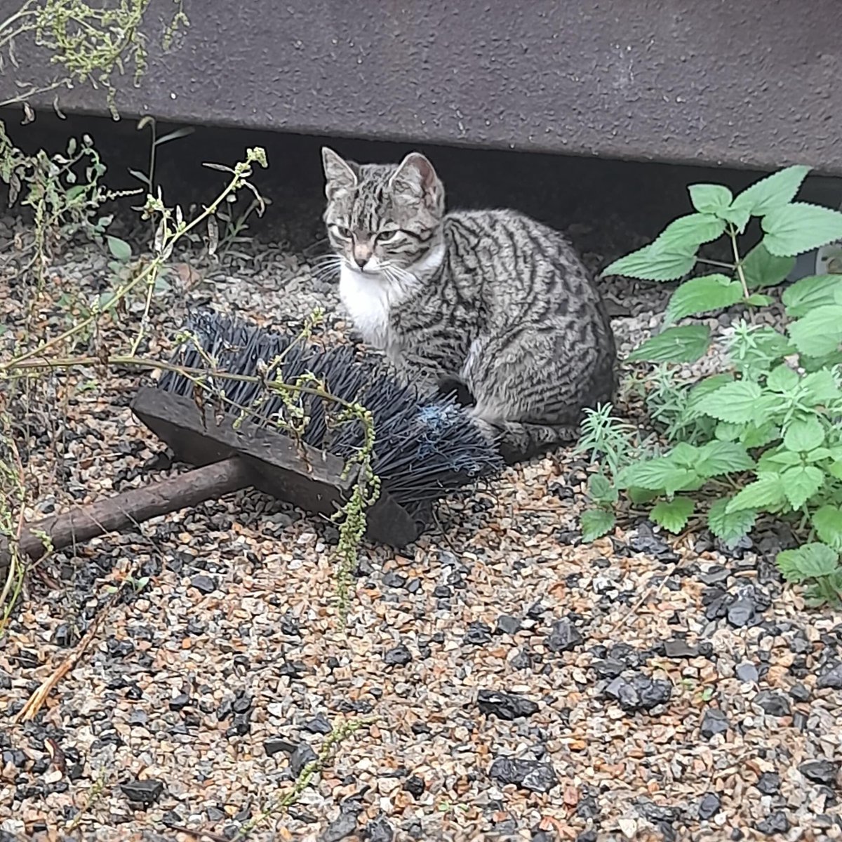 Zorka.budka tweet media