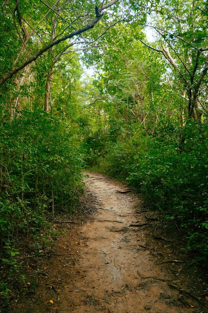 Lou_is_ILLA's tweet image. “Journey Down The Path With No Destination” opensea.io/assets/ethereu…