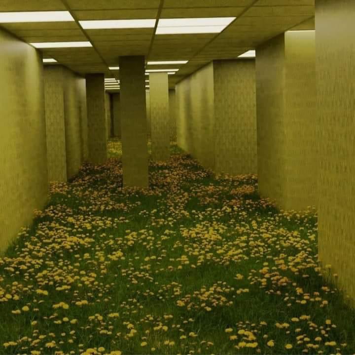 Liminal Spaces on Twitter: "Liminal space F813K"