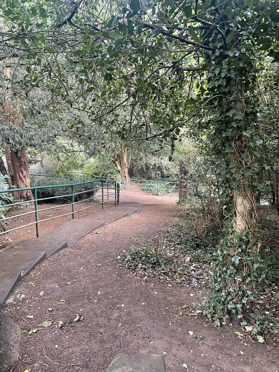 ChampagneAng's tweet image. Thursday afternoon run 🏃‍♀️ felt good today 😊#fitness #running #ukrunchat