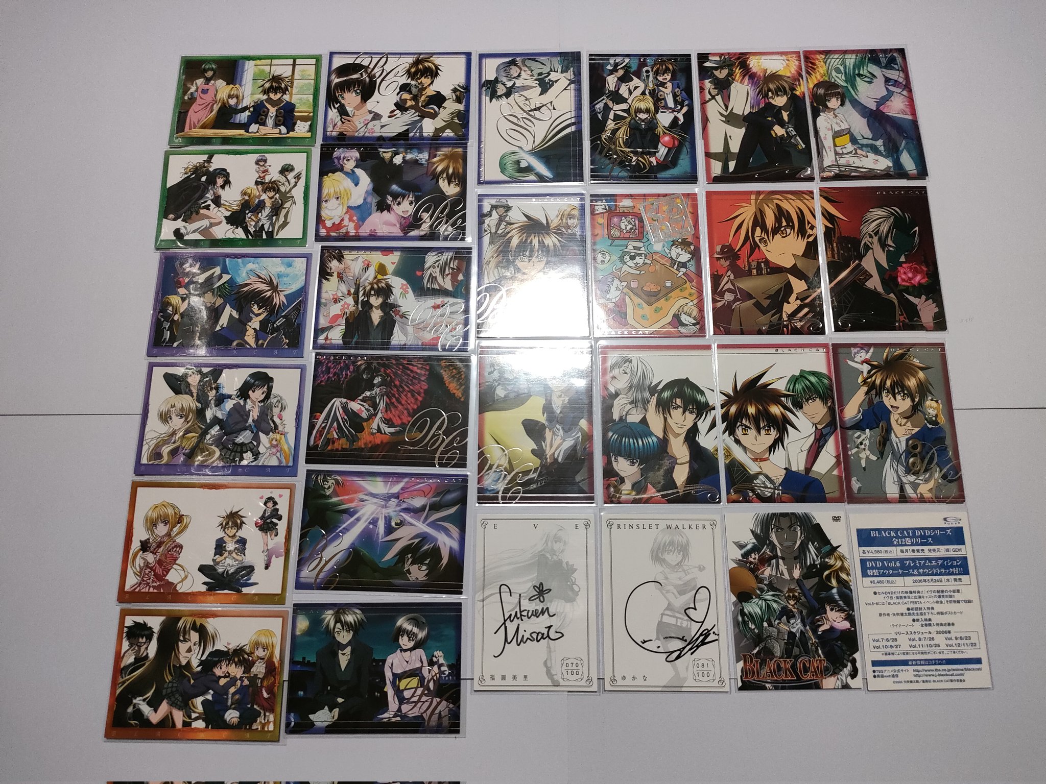 BLACK CAT 複製原画 【公式通販】