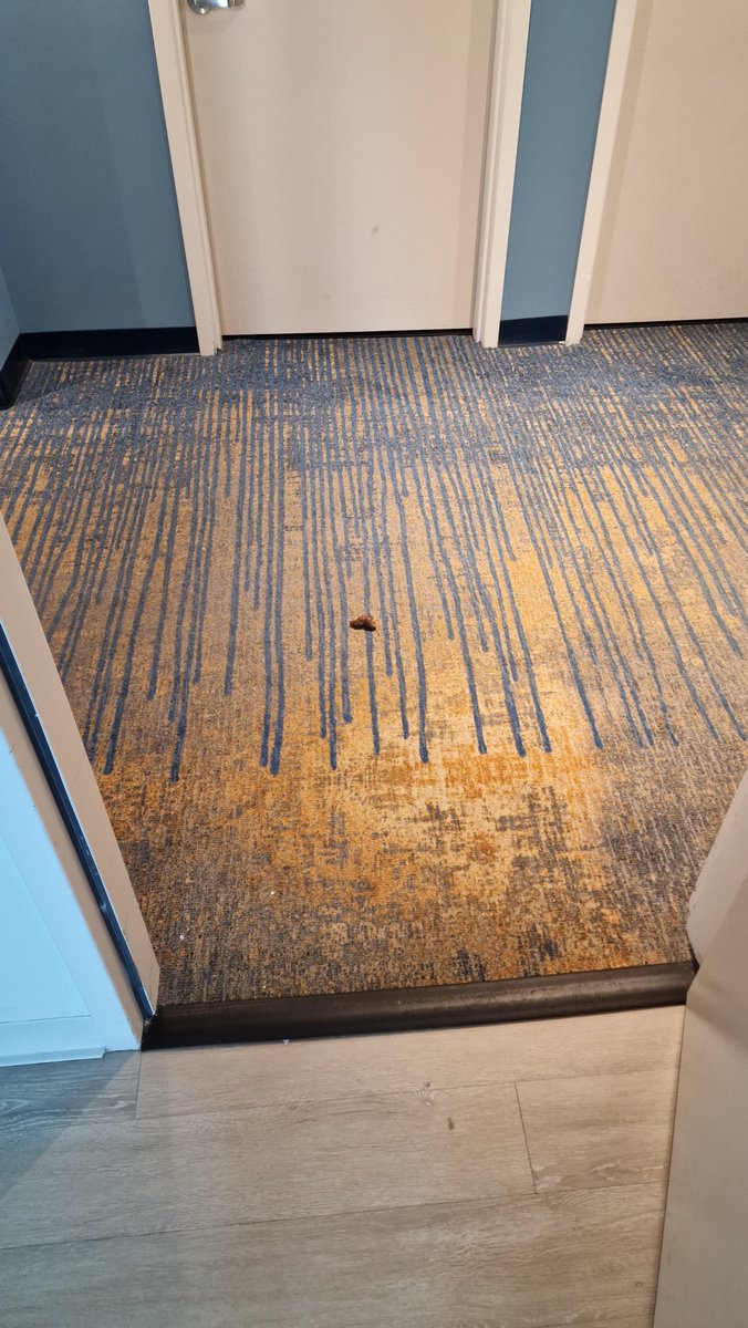 See Shaun Vlog tweet media