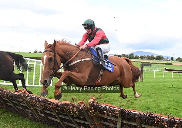 Cher Why Not avail of 25/1  <a href="/ClonmelR/">Clonmel Races</a> irishracing.com/news?prid=2360…