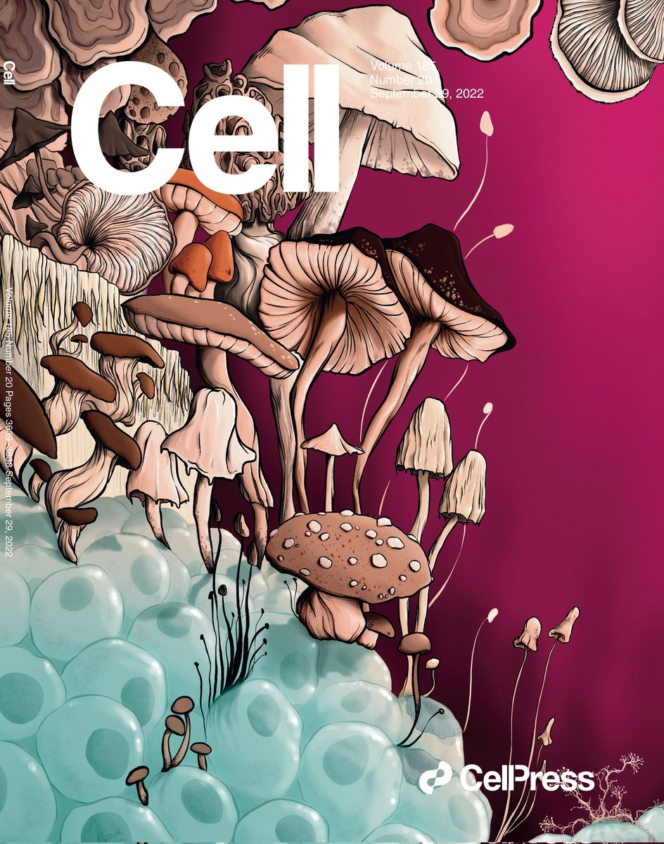 Marzia Munafò (@munafomarzia) on Twitter photo Fantastic Fungi and where to find them 🍄
On the cover of <a href="/CellCellPress/">Cell</a>, <a href="/StraussmanR/">Straussman_Lab</a> lab reports that fungi are present across all major human cancers and some "mycobiomes" can be predictive of clinical outcomes and therapy response. Congrats @liannarunsky &al <a href="/WeizmannScience/">Weizmann Institute</a>! Fantastic Fungi and where to find them 🍄
On the cover of <a href="/CellCellPress/">Cell</a>, <a href="/StraussmanR/">Straussman_Lab</a> lab reports that fungi are present across all major human cancers and some "mycobiomes" can be predictive of clinical outcomes and therapy response. Congrats @liannarunsky &al <a href="/WeizmannScience/">Weizmann Institute</a>!