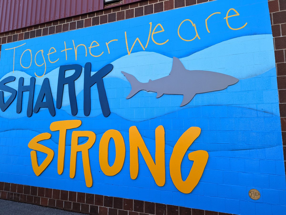 cristinevaughan's tweet photo. Thank you Bronx Borough President @Vanessalgibson for providing @Ps175Sharks $125,000.00 to update the STEAM lab. We appreciate all you do for us @District11BX @NYCSchools @DK_BlackburnNYC @DOEChancellor https://t.co/997LQnyLZV