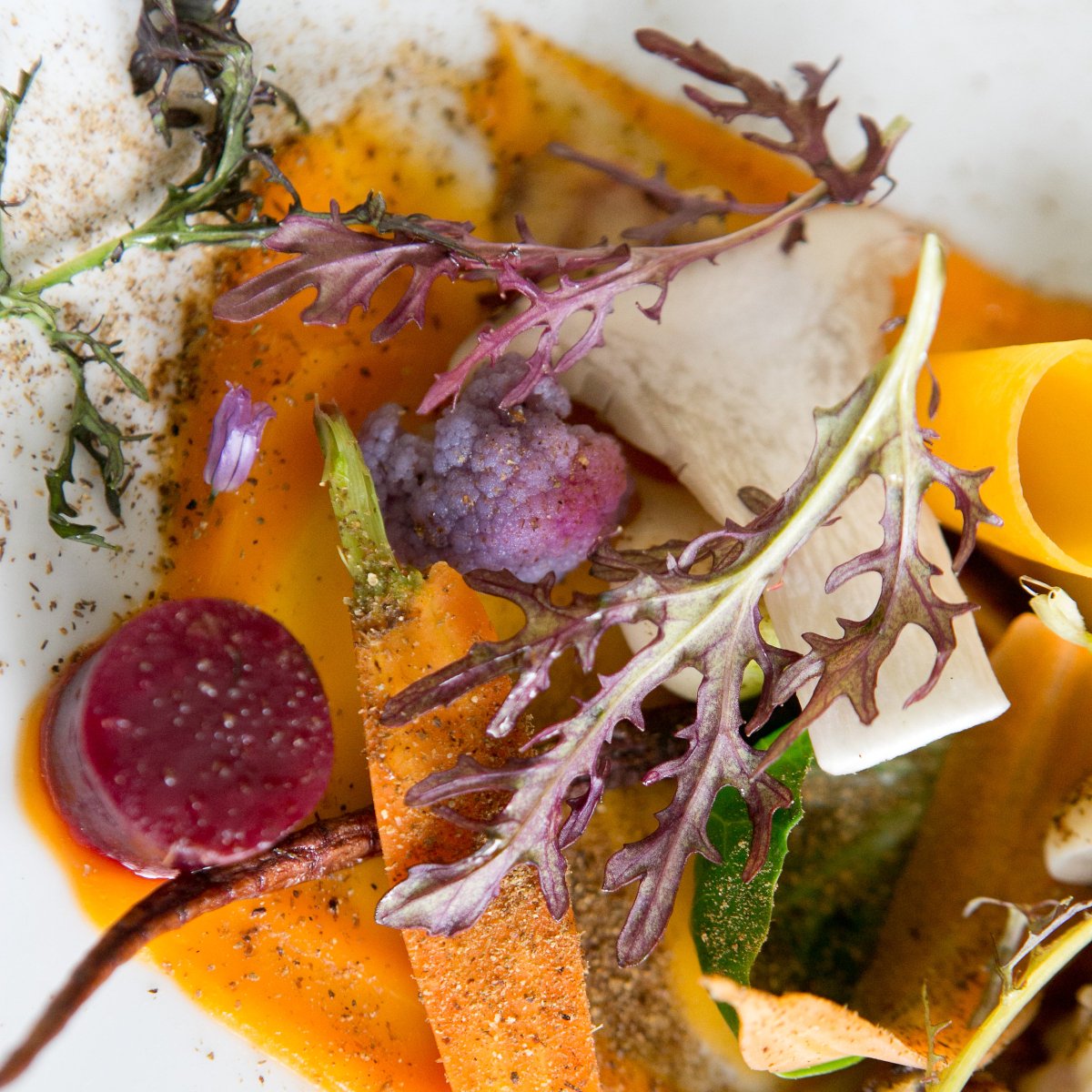 With so much to celebrate, let the premier experience-makers in Boston immerse you in an affair that will reawaken your senses. Now booking fall and winter gatherings.