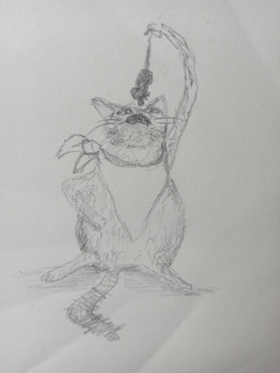 tannico72's tweet photo. 29 weite -
#Catember22 https://t.co/dFvn1XqUJA