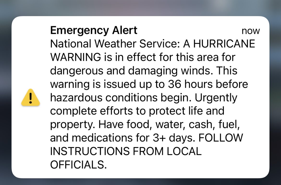 Emily Gracey tweet media