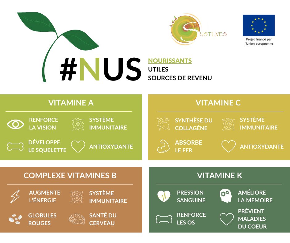 sustlives's tweet photo. Les aliments préparés avec les cultures traditionnelles #NUS contiennent les nutriments - vitamines, minéraux, protéines et glucides - dont nous avons besoin pour renforcer notre #corps, combattre les maladies et rester en bonne #Sante 
Plu d'info: https://t.co/EZi2yn25En https://t.co/htYnZXY1eu