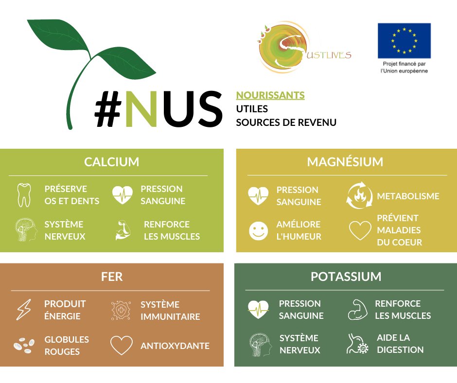 sustlives's tweet photo. Les aliments préparés avec les cultures traditionnelles #NUS contiennent les nutriments - vitamines, minéraux, protéines et glucides - dont nous avons besoin pour renforcer notre #corps, combattre les maladies et rester en bonne #Sante 
Plu d'info: https://t.co/EZi2yn25En https://t.co/htYnZXY1eu