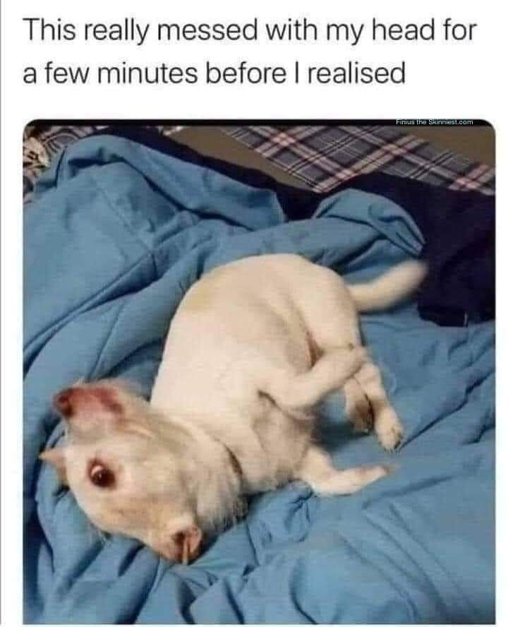 Michael Clarke Mr Mike Clarke Twitter