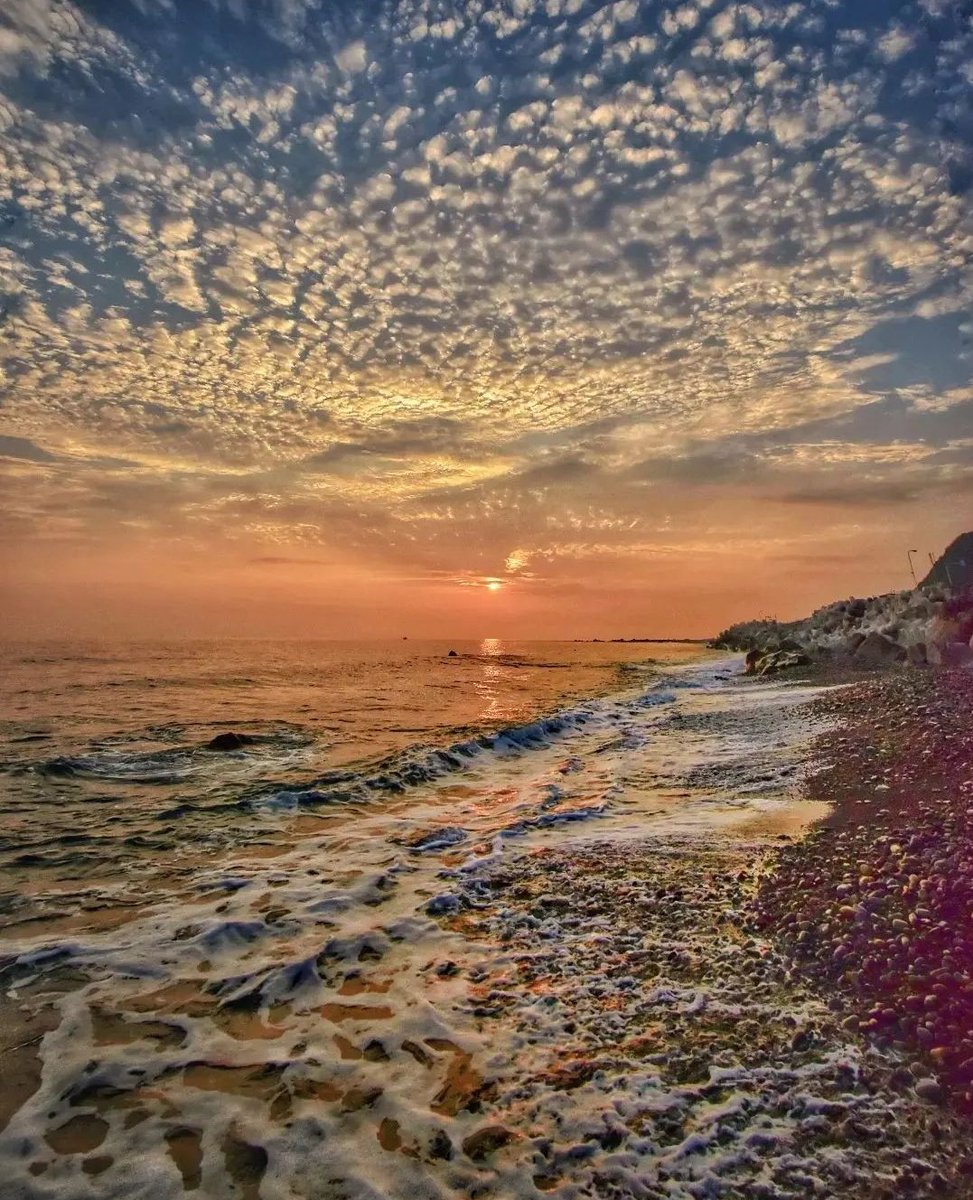 tanosiisupi_bot's tweet image. As one of the services the Earth gives to its guests, there is peace of mind.

地球がそのゲスト達に与えてくれるサービスの一つに、安らぎがあります。
#PeaceOfMind #安らぎ
RP @Daniella_C1804