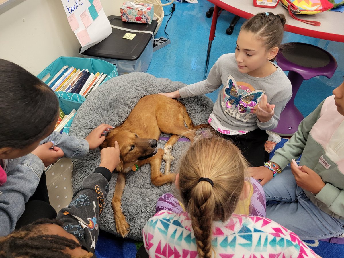 Sharp 5th Grade tweet media