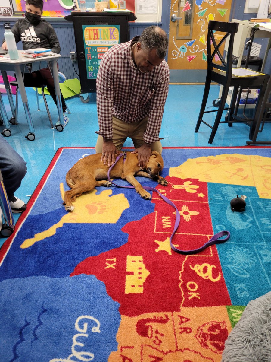 Sharp 5th Grade tweet media