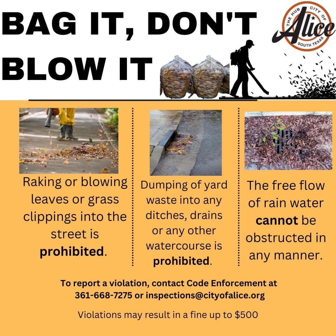 City of Alice (@cityofalice) on Twitter photo 