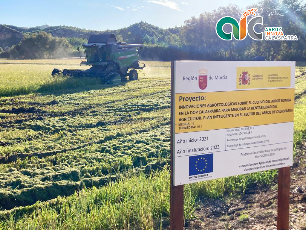 goarrozinnova's tweet photo. Comenzamos a cosechar las parcelas del Grupo Operativo ArrozInnova 🚜🌾
Ahora tocar sacar conclusiones y analizar la gran cantidad de información recogida durante este tiempo. 👨🏼💻
Estamos muy contentos por los resultados obtenidos. 😃
@mapagob @IMIDA_Acui @RM_Agua https://t.co/Hg6hsvgTML