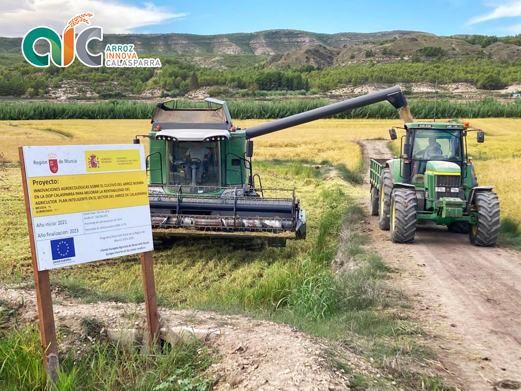 goarrozinnova's tweet photo. Comenzamos a cosechar las parcelas del Grupo Operativo ArrozInnova 🚜🌾
Ahora tocar sacar conclusiones y analizar la gran cantidad de información recogida durante este tiempo. 👨🏼💻
Estamos muy contentos por los resultados obtenidos. 😃
@mapagob @IMIDA_Acui @RM_Agua https://t.co/Hg6hsvgTML
