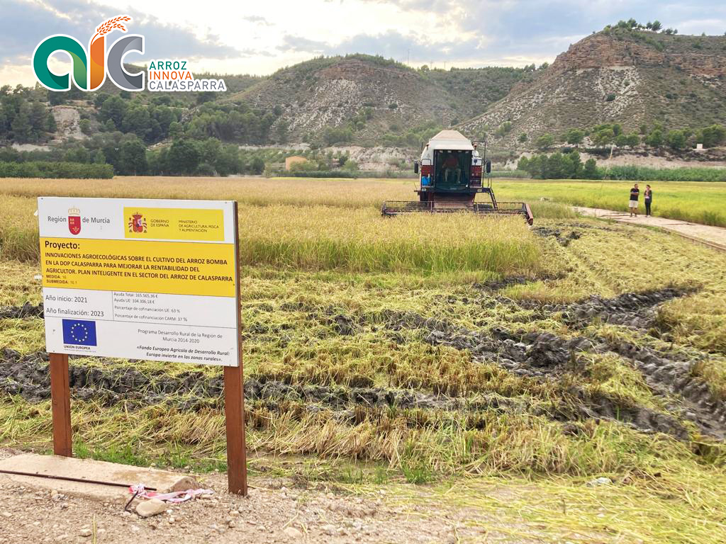 goarrozinnova's tweet photo. Comenzamos a cosechar las parcelas del Grupo Operativo ArrozInnova 🚜🌾
Ahora tocar sacar conclusiones y analizar la gran cantidad de información recogida durante este tiempo. 👨🏼💻
Estamos muy contentos por los resultados obtenidos. 😃
@mapagob @IMIDA_Acui @RM_Agua https://t.co/Hg6hsvgTML