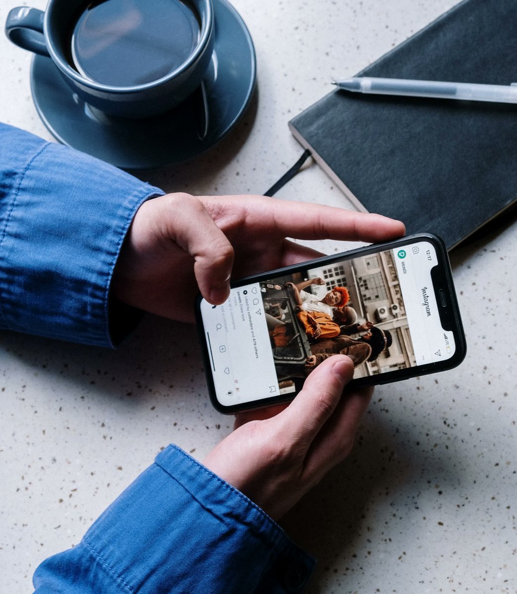 thebearchitects tweet media